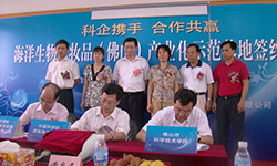 J9游戏(中国)-官方网站